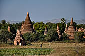 Bagan Myanmar. Cluster of red brick temples near Min myaw yaza  